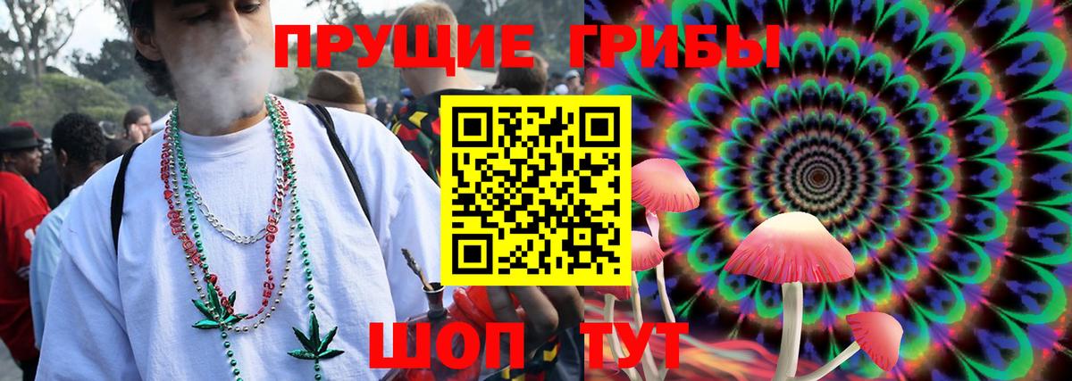 Галлюциногенные грибы Psilocybine cubensis  Вход с VPN  Лосино-Петровский 