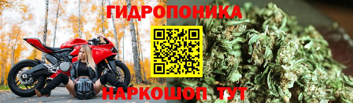 Канабис индика  МАРИХУАНА тримм  МАРИХУАНА план  Лосино-Петровский  Бошки Шишки White Widow  Вход с VPN 